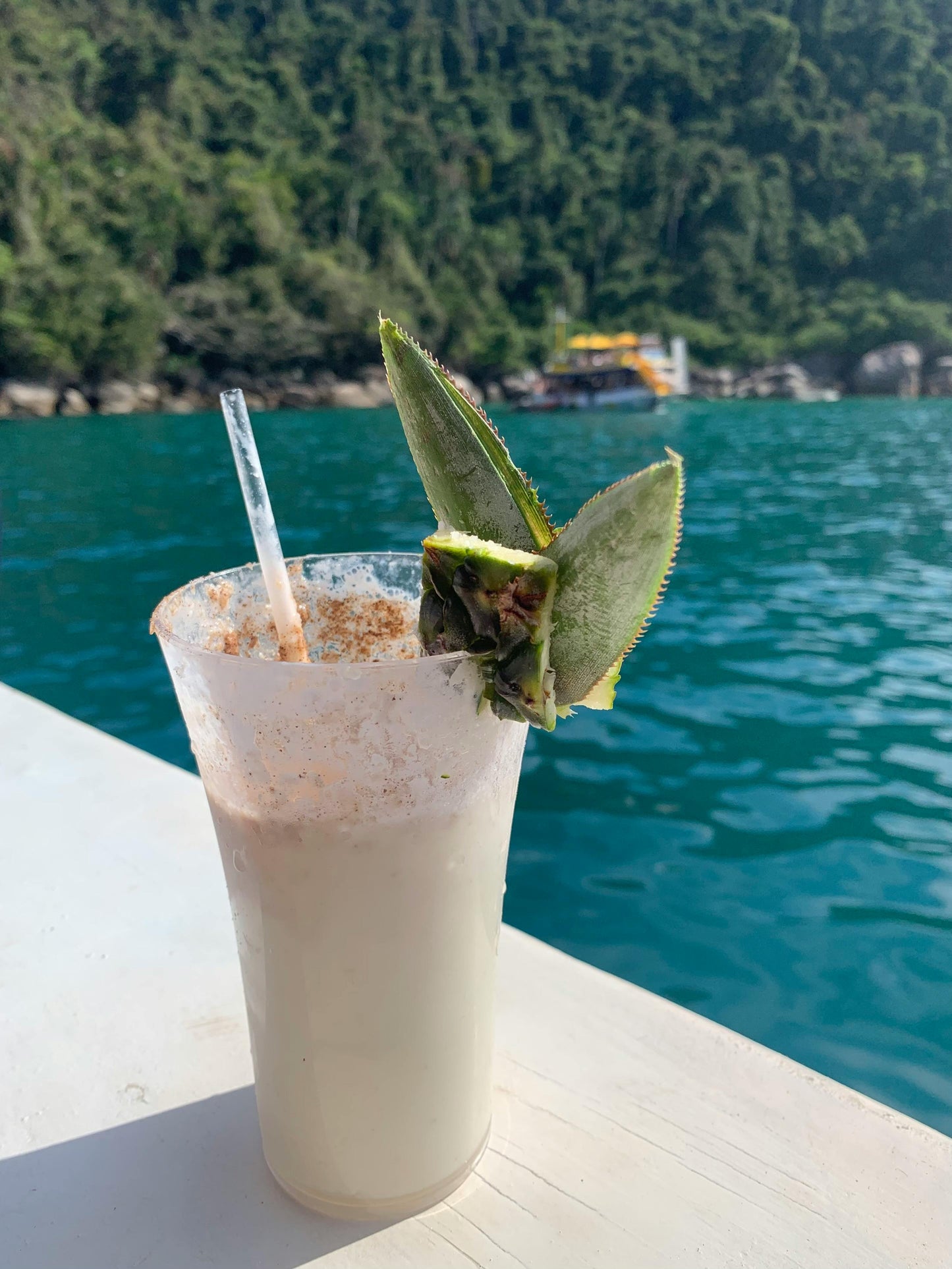 Sweet & Salty Toasted Coconut Drink Rimmer. 28oz